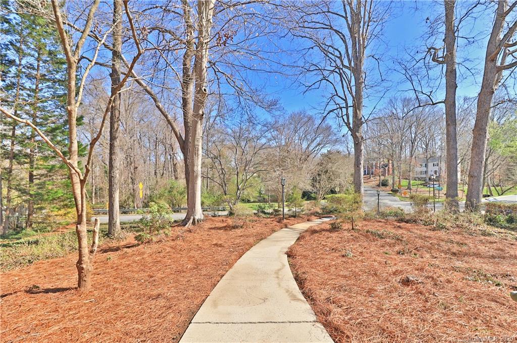 3532 Mountainbrook Road Charlotte, NC 28226 - Photo 23 of 45 a view of a yard with trees