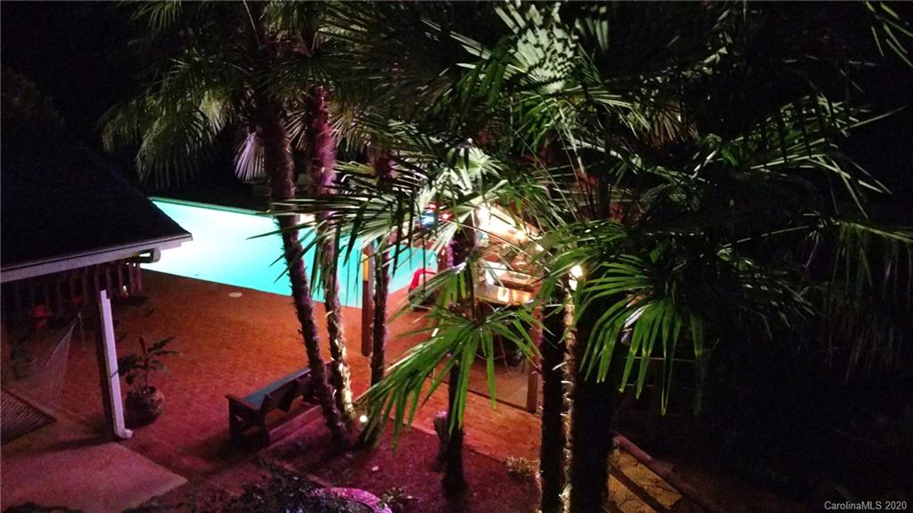 3532 Mountainbrook Road Charlotte, NC 28226 - Photo 42 of 45 a view of a palm tree in a yard