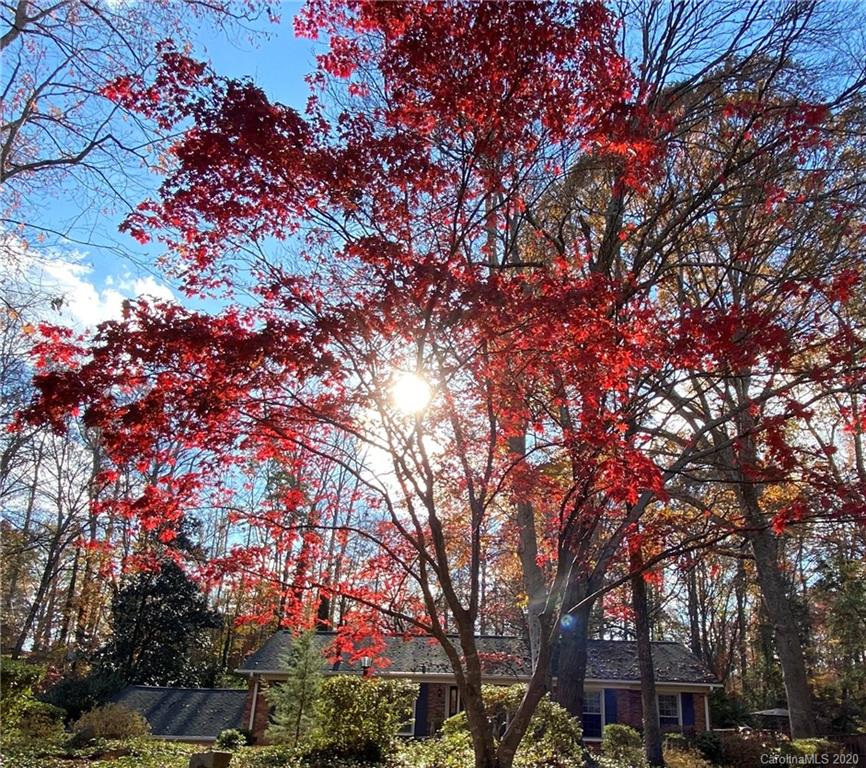 3532 Mountainbrook Road Charlotte, NC 28226 - Photo 44 of 45 not sure