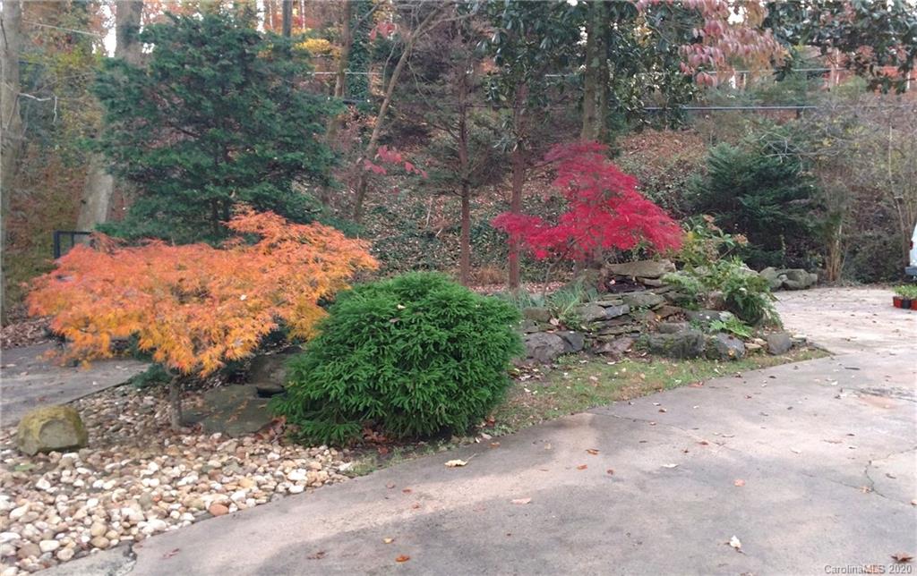3532 Mountainbrook Road Charlotte, NC 28226 - Photo 45 of 45 a view of a pathway both side of yard