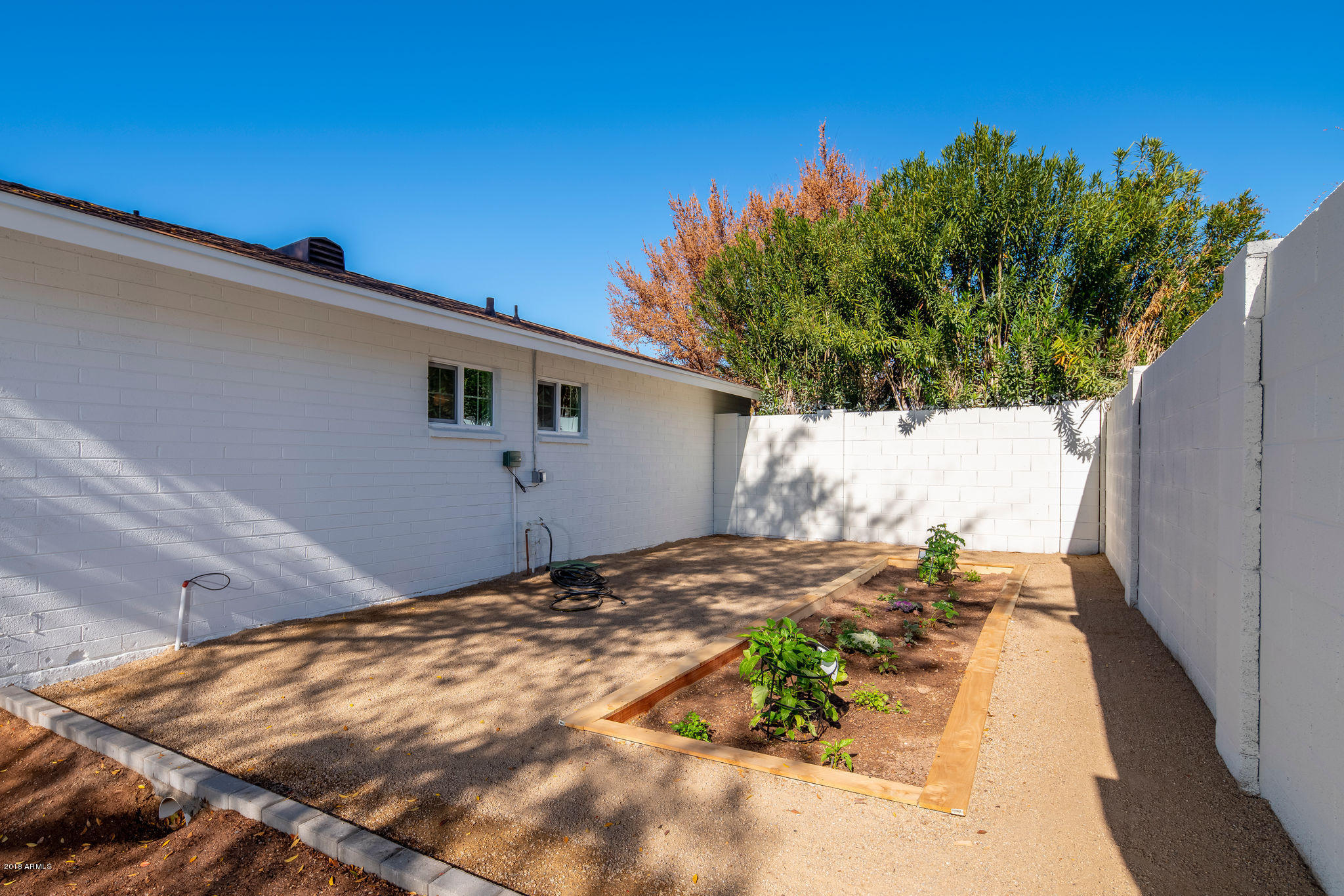 4925 East Osborn Road Phoenix, AZ 85018 - Photo 20 of 21 Garden