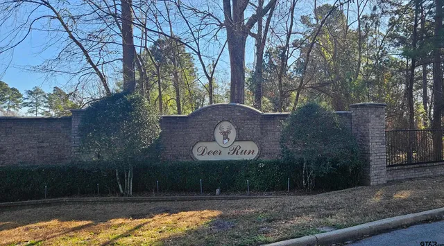a view of a house with a yard and a large tree