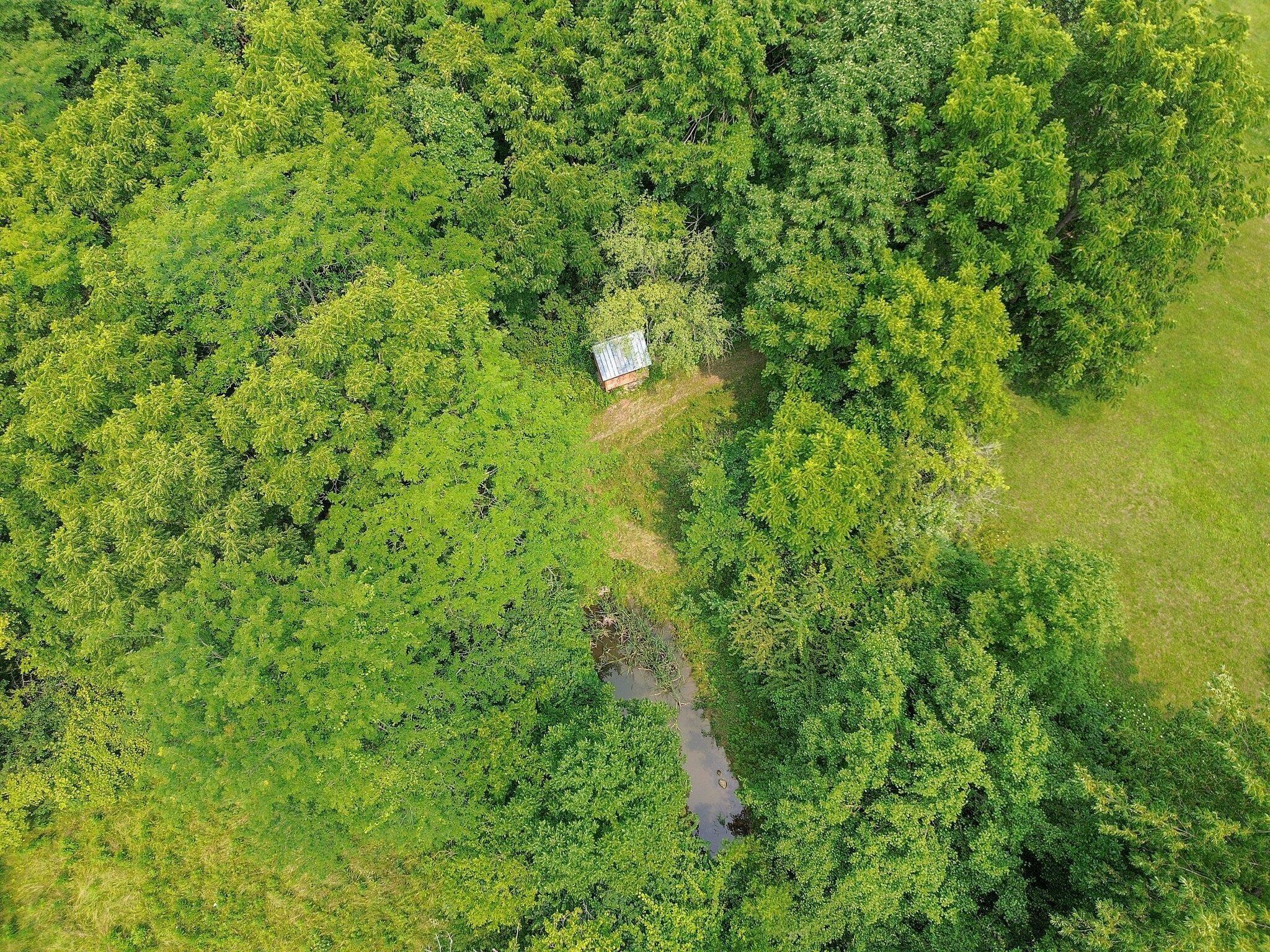 7117 Tarlton Road Circleville, OH 43113 - Photo 11 of 59 19-web-or-mls-7117-tarlton-rd