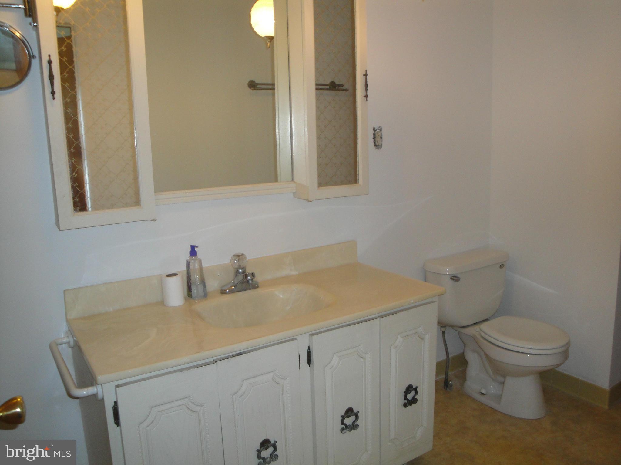 903 Bengies Road Baltimore, MD 21220 - Photo 14 of 18 a bathroom with a sink and a toilet