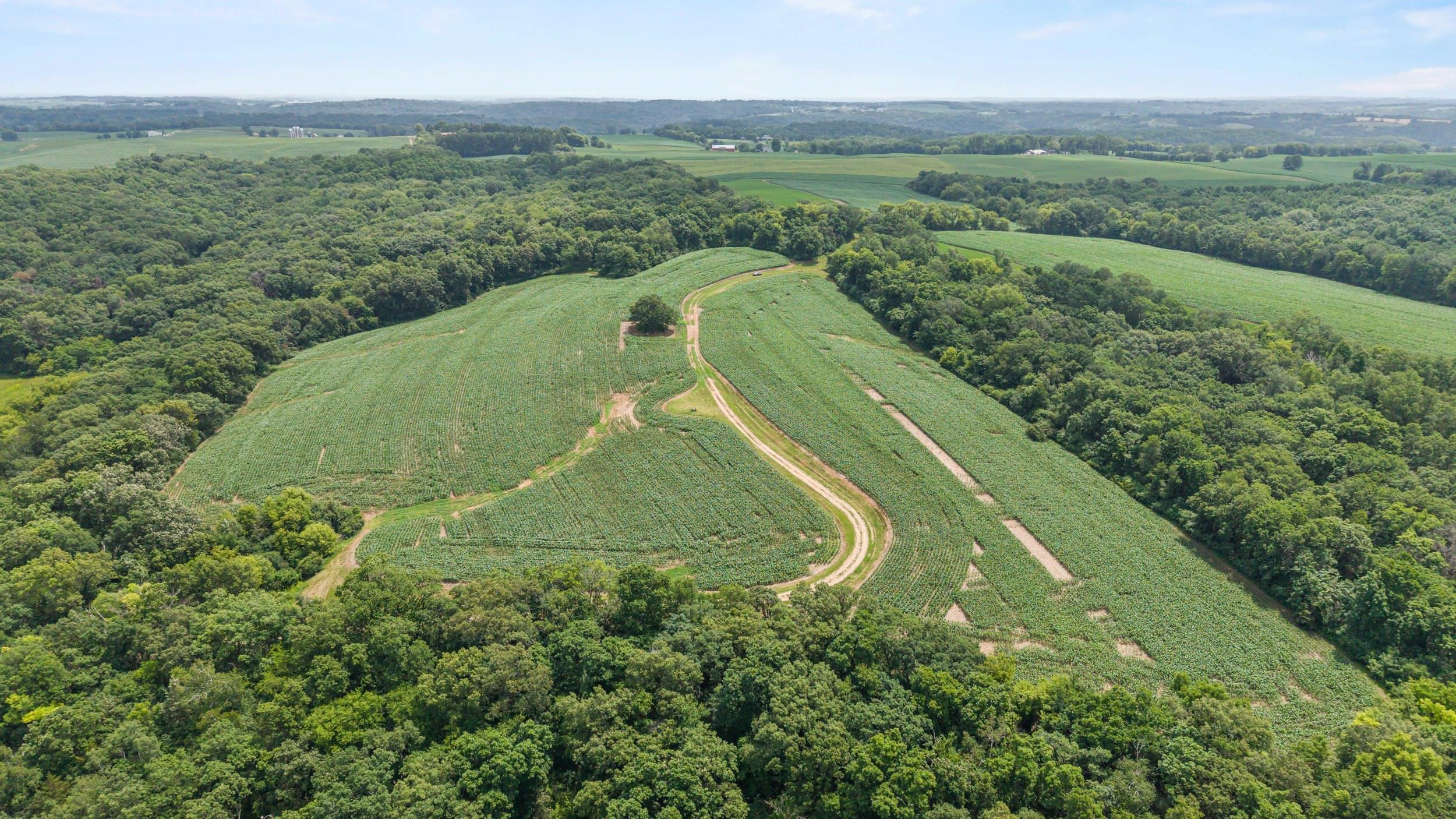 146-acres Otto Kerl Road Cross Plains, WI 53528 - Photo 12 of 20