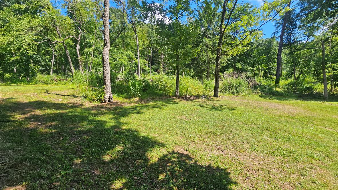 2529 Ringhoffer Road Hellertown, PA 18055 - Photo 30 of 33 A verdant, open field extends towards a dense treeline, offering serene, natural surroundings.