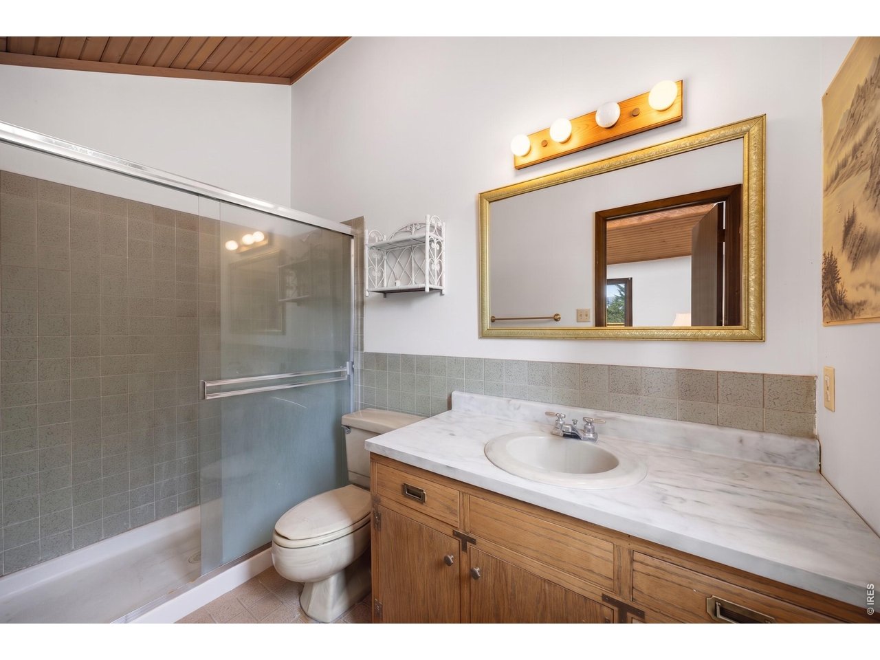 33173 Deep Forest Road Evergreen, CO 80439 - Photo 19 of 42