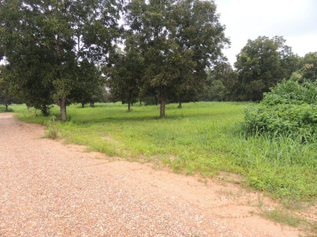 420-be Restertown Road Poplarville, MS 39470 - Photo 1 of 1 Gallery Image 1