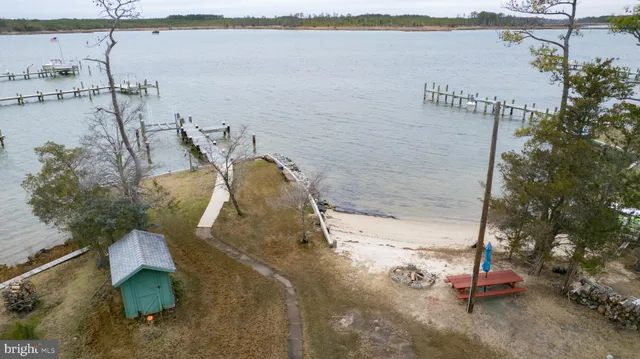 a view of a lake with boats and trees in the background