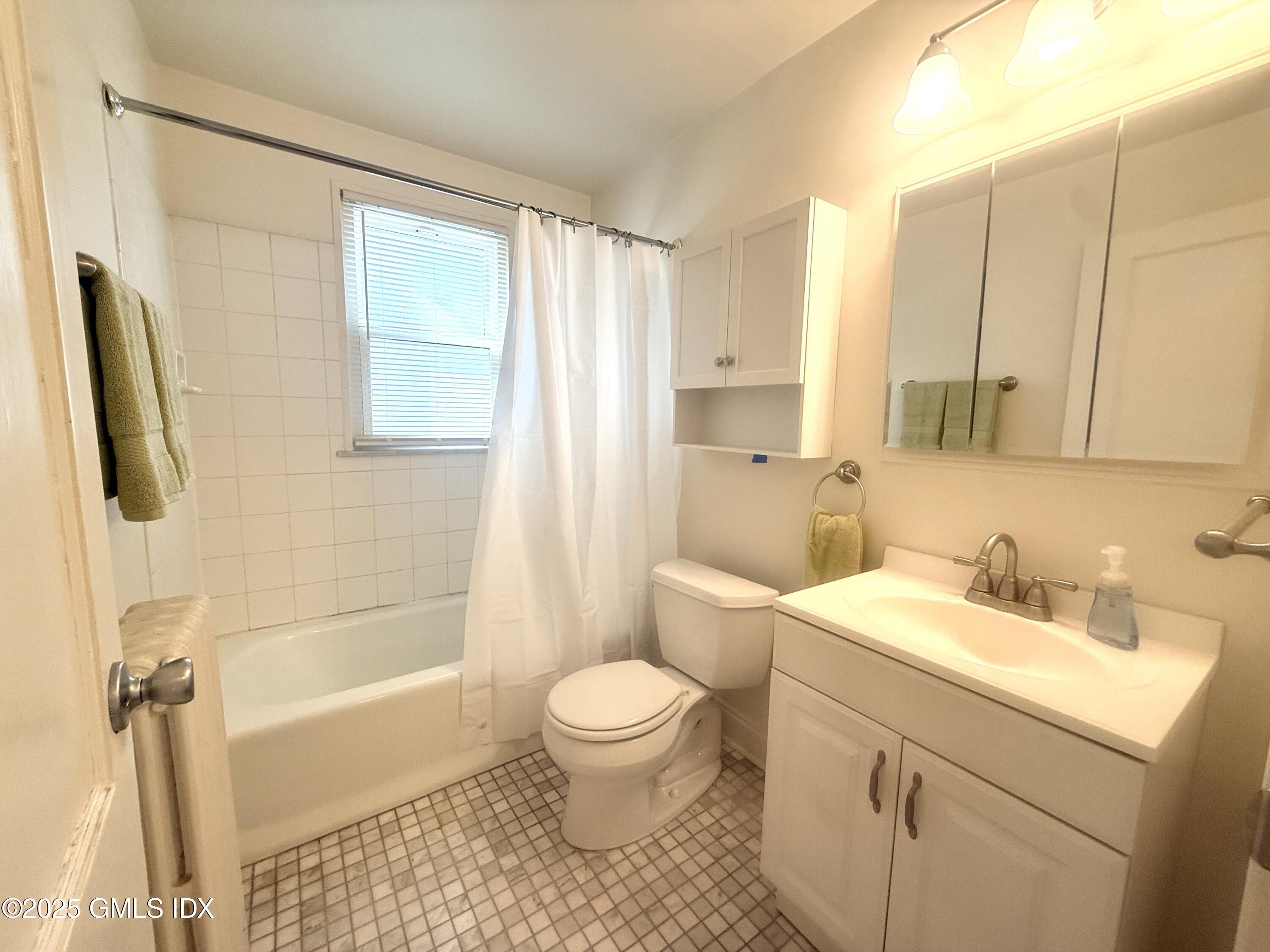 217 River Extension, Unit LOWER LEVEL Cos Cob, CT 06807 - Photo 14 of 16 a bathroom with a sink a toilet and a bathtub