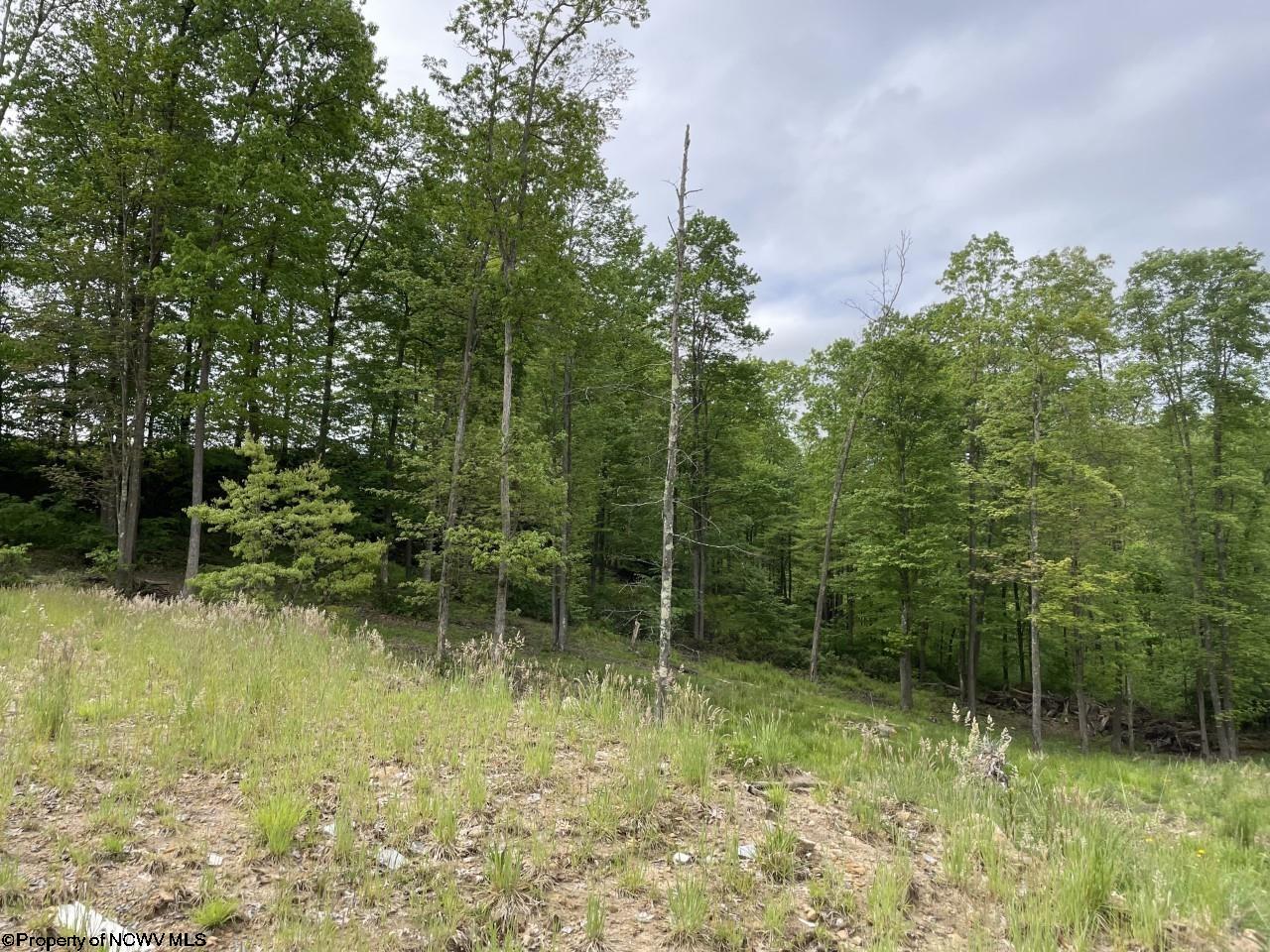 1200 Sand Bank Road Fairmont, WV 26554 - Photo 28 of 30 Gallery Image 28