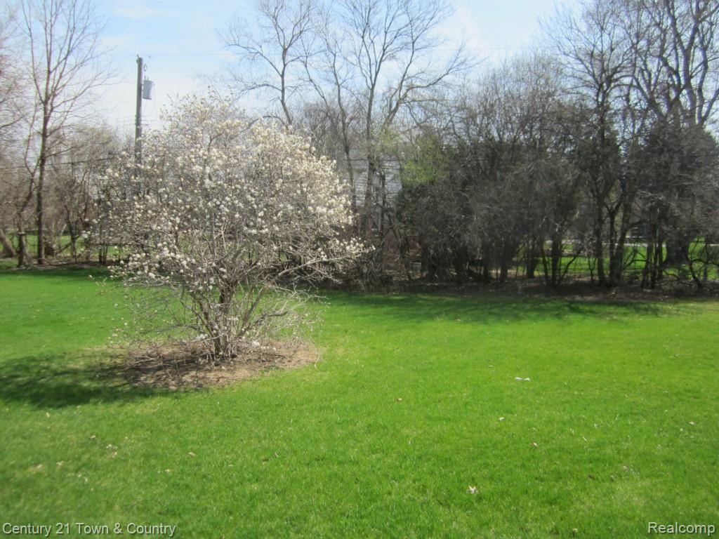 6934 Dublin Fair Road Troy, MI 48098 - Photo 5 of 34 IMG_1203.jpg