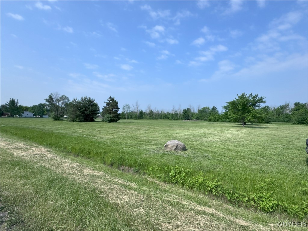 Vl Williams Road Ransomville, NY 14131 - Photo 1 of 1 Road frontage looking south