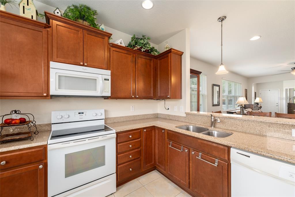 9098 Southwest 70th Loop Ocala, FL 34481 - Photo 20 of 52