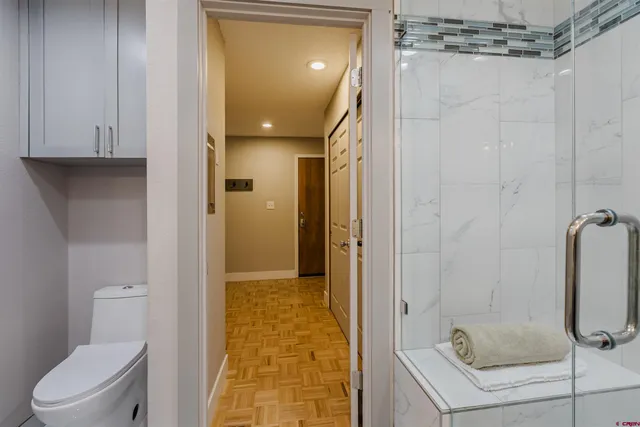a bathroom with a shower and a toilet