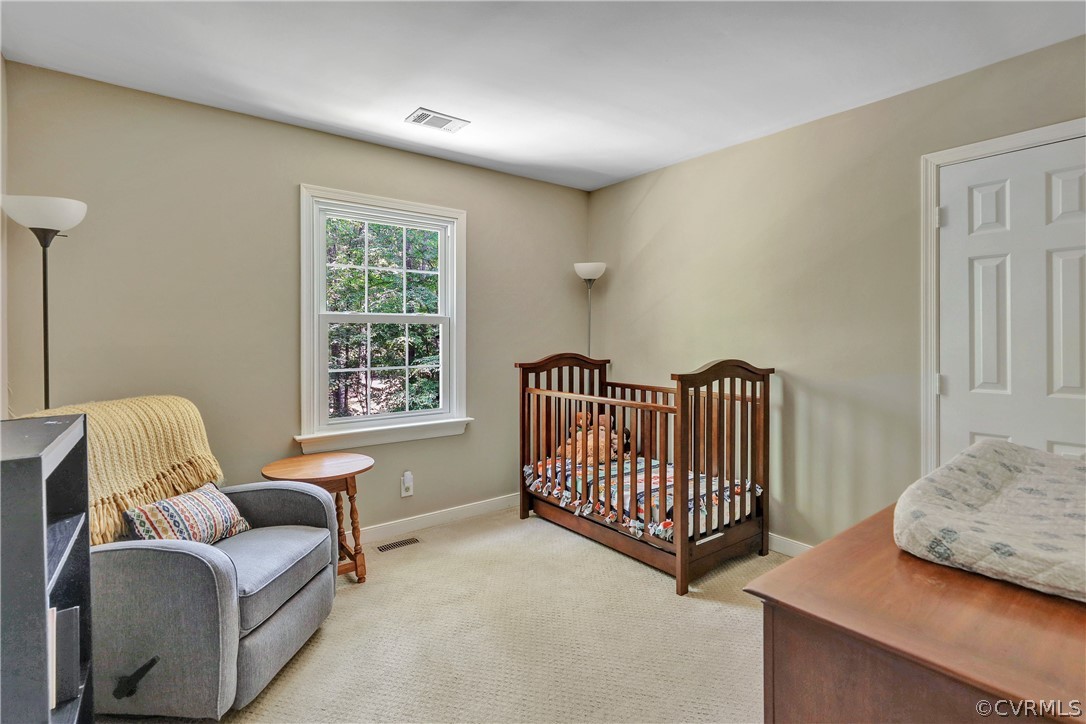 14306 Long Hill Road Midlothian, VA 23112 - Photo 18 of 23