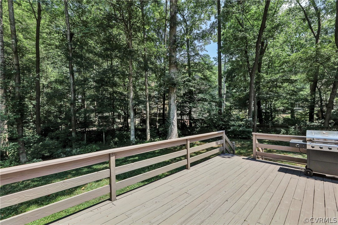 14306 Long Hill Road Midlothian, VA 23112 - Photo 21 of 23