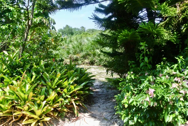 $3,500 | 121 Ocean Cove Drive, Unit 121, Jupiter, FL 33477