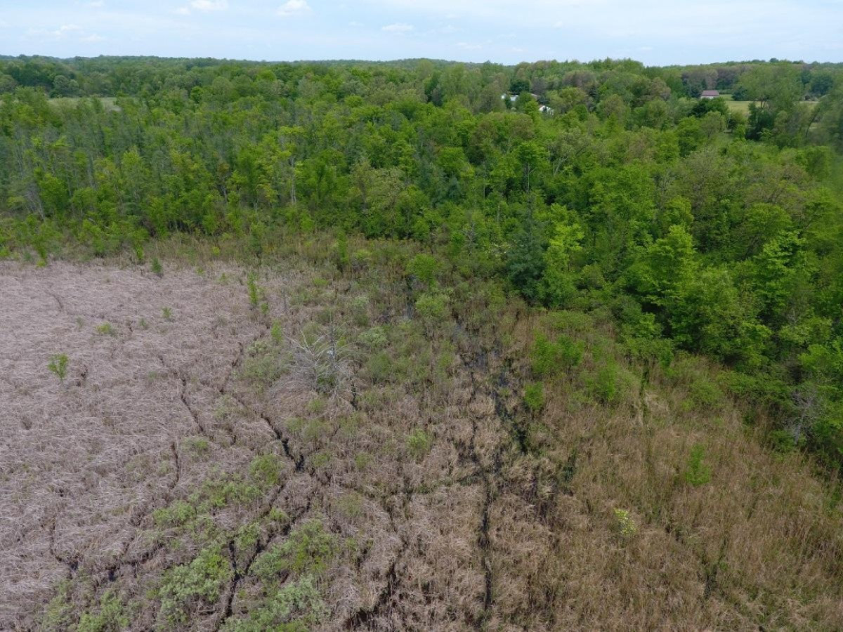 6200 Jordan Road Jackson, MI 49201 - Photo 3 of 11 DJI_0010