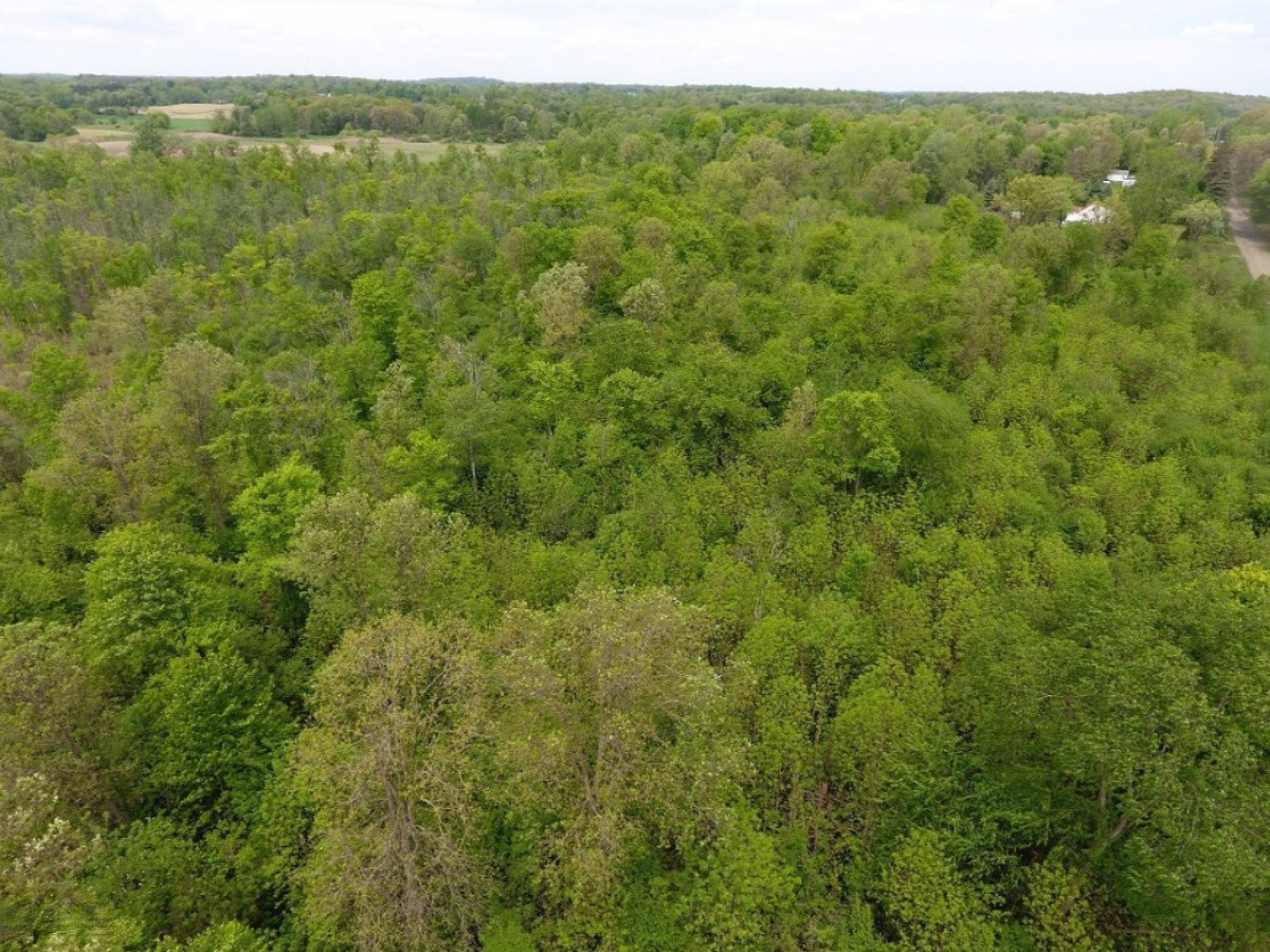 6200 Jordan Road Jackson, MI 49201 - Photo 4 of 11 DJI_0011