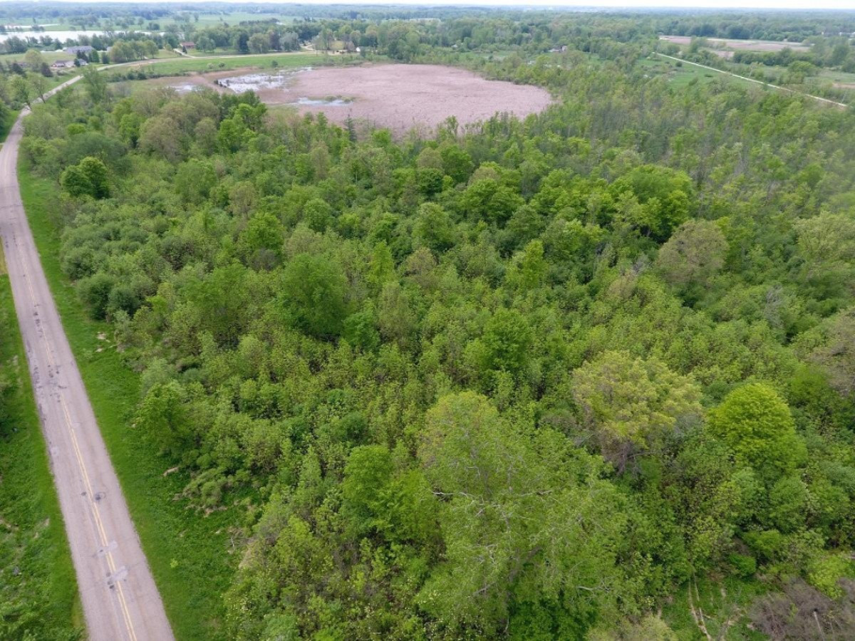 6200 Jordan Road Jackson, MI 49201 - Photo 6 of 11 DJI_0001