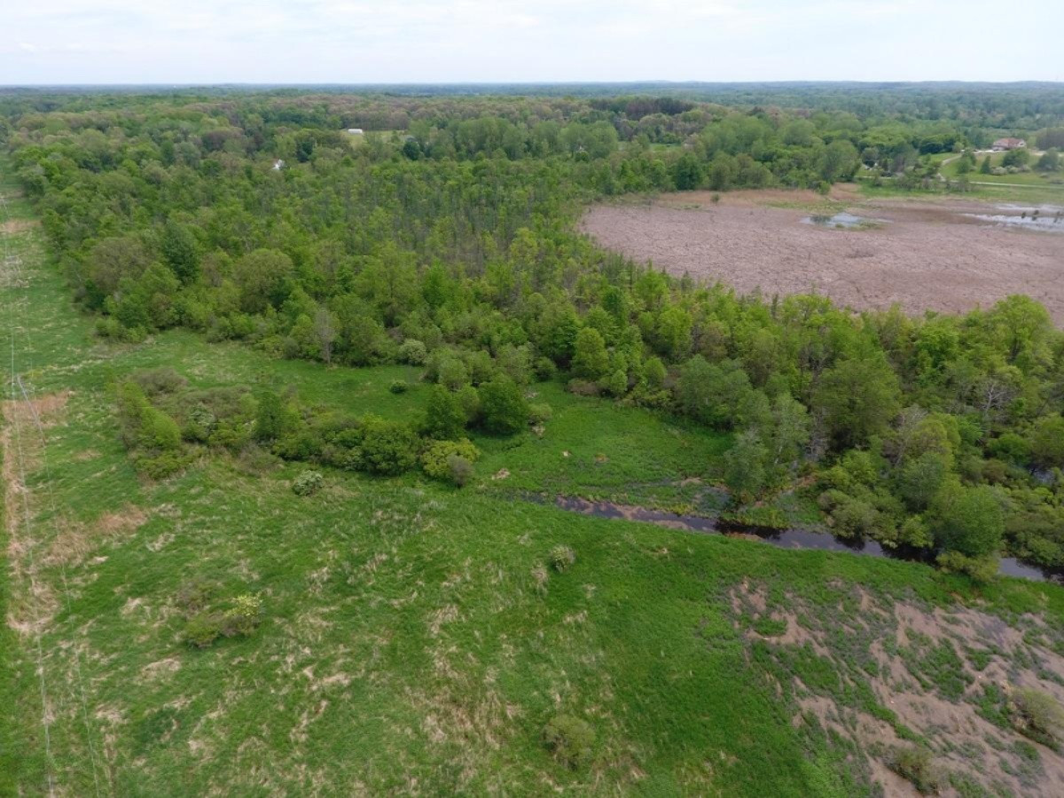 6200 Jordan Road Jackson, MI 49201 - Photo 8 of 11 DJI_0004