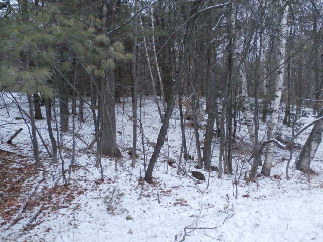 1 Lake Road Wilton, ME 04294 - Photo 24 of 25 PC090766