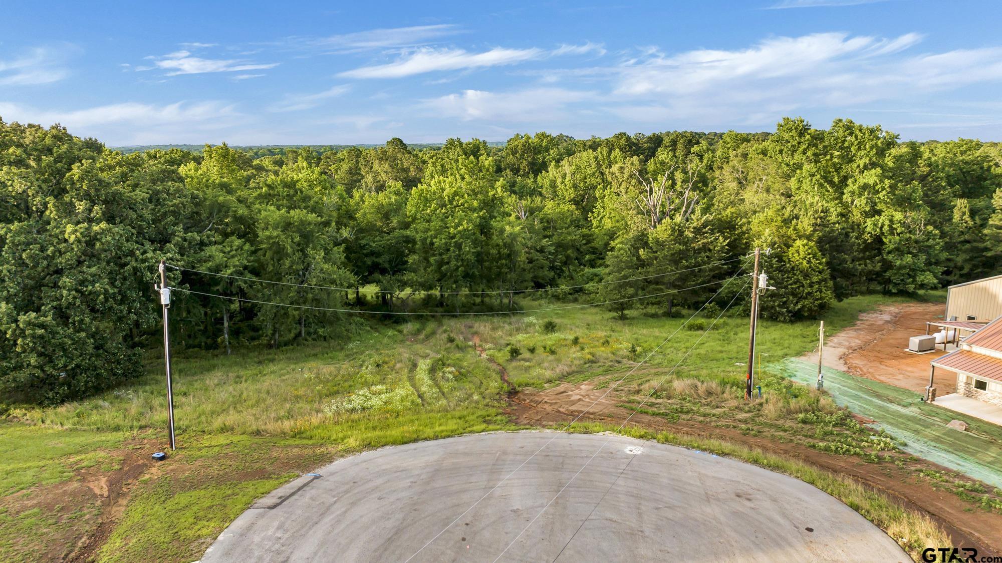 Lot 7 Ridgeway Court Winona, TX 75792 - Photo 7 of 7 a view of a backyard with plants