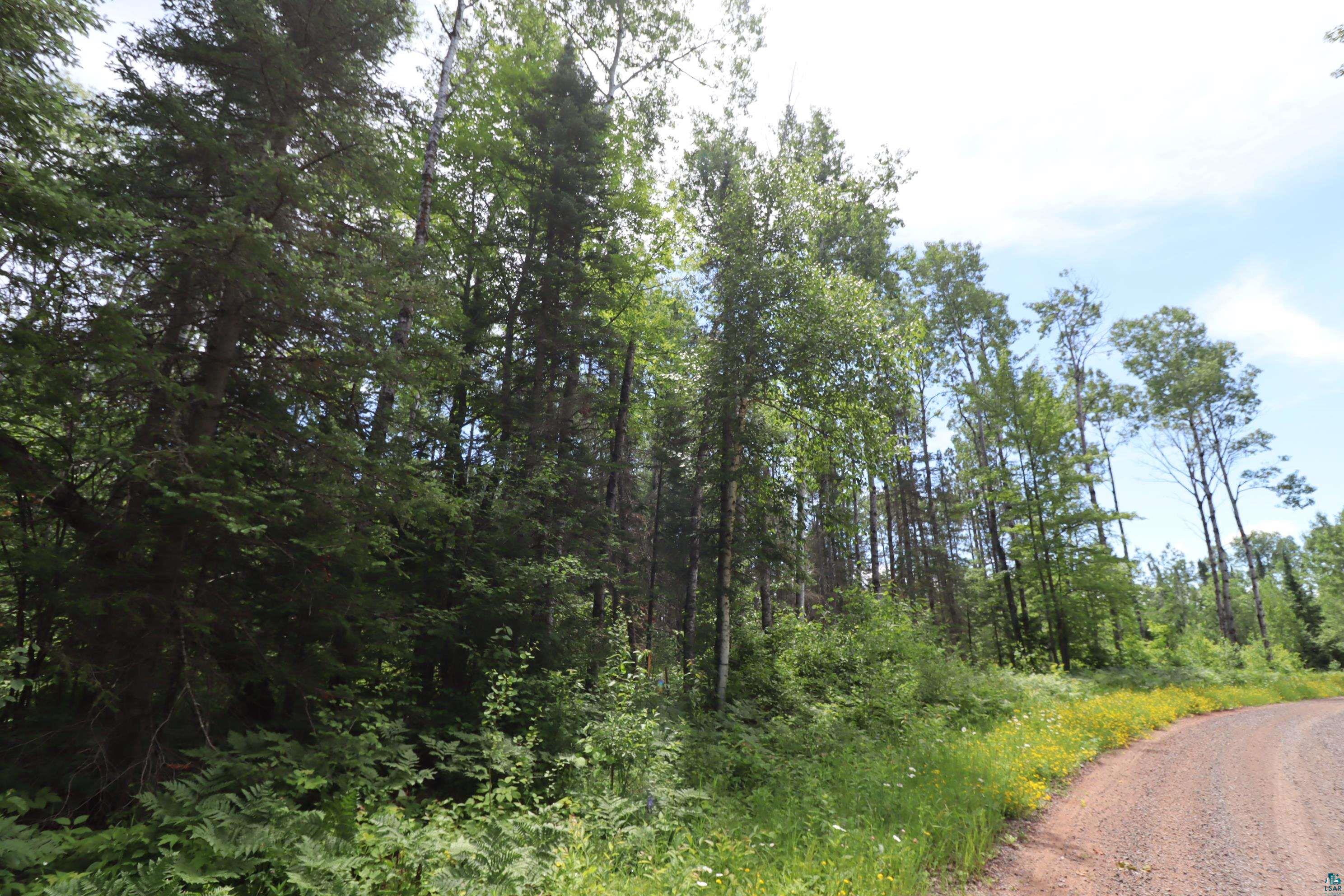 84-xxx Campbell Road Herbster, WI 54844 - Photo 10 of 22