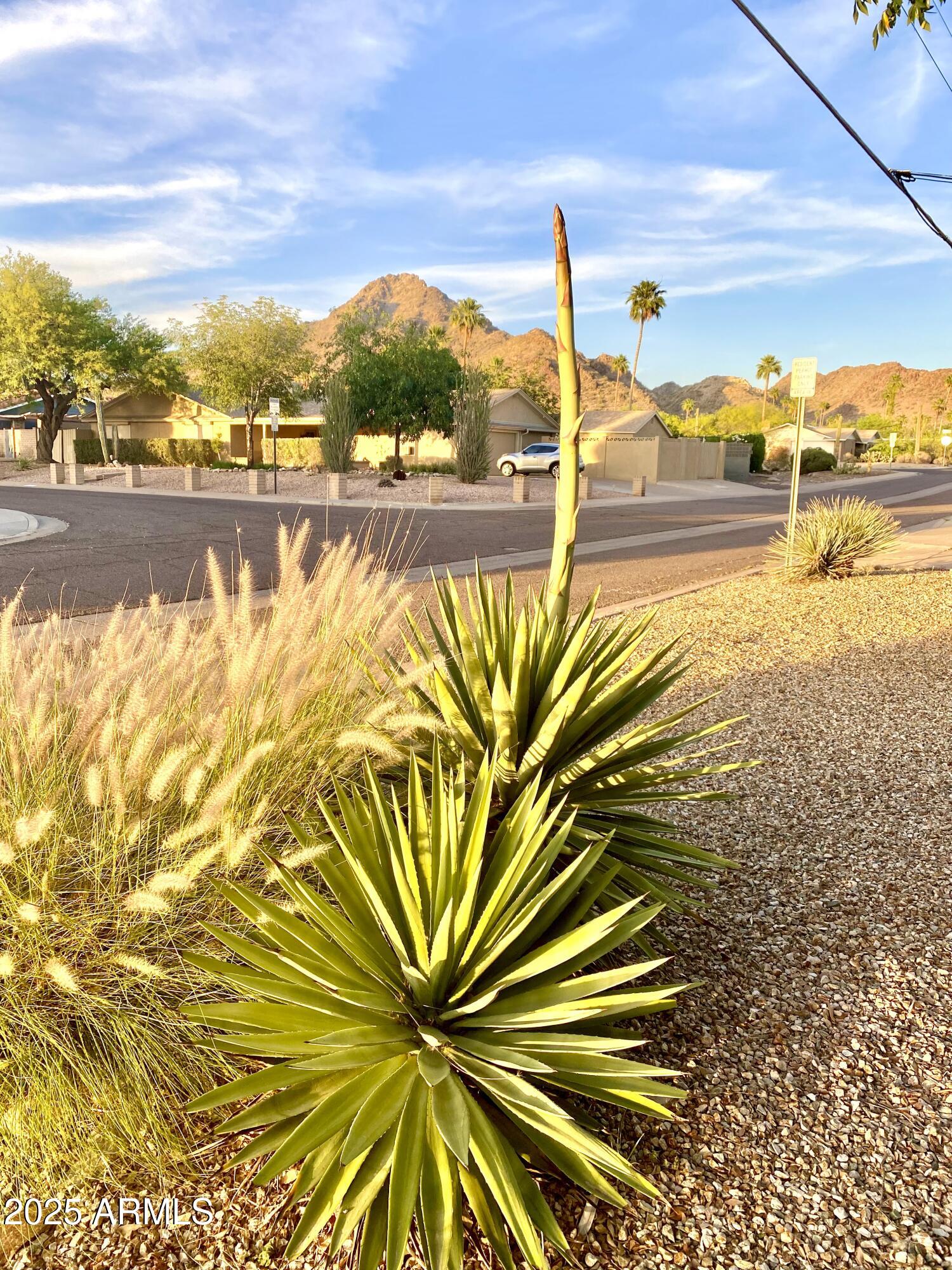 1901 East Ocotillo Road Phoenix, AZ 85016 - Photo 4 of 58 4) 60186-68757ee060679