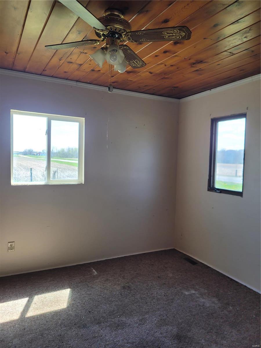 29198 Quarton Road Palmyra, IL 62674 - Photo 21 of 28