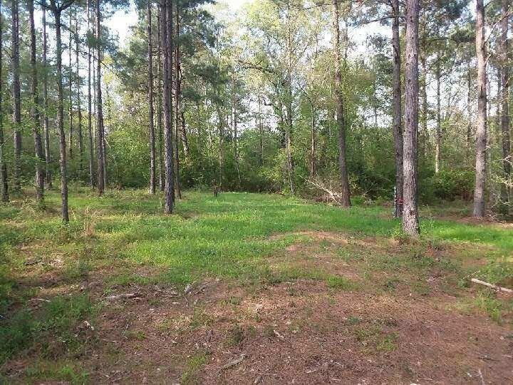 Tbd Gene Williams Road Franklinton, LA 70438 - Photo 1 of 5 Gallery Image 1