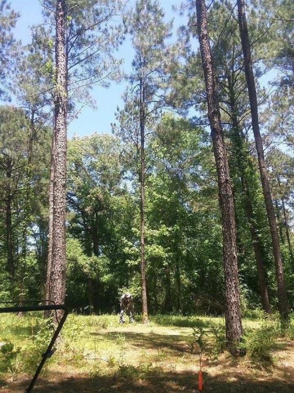 Tbd Gene Williams Road Franklinton, LA 70438 - Photo 2 of 5 Gallery Image 2
