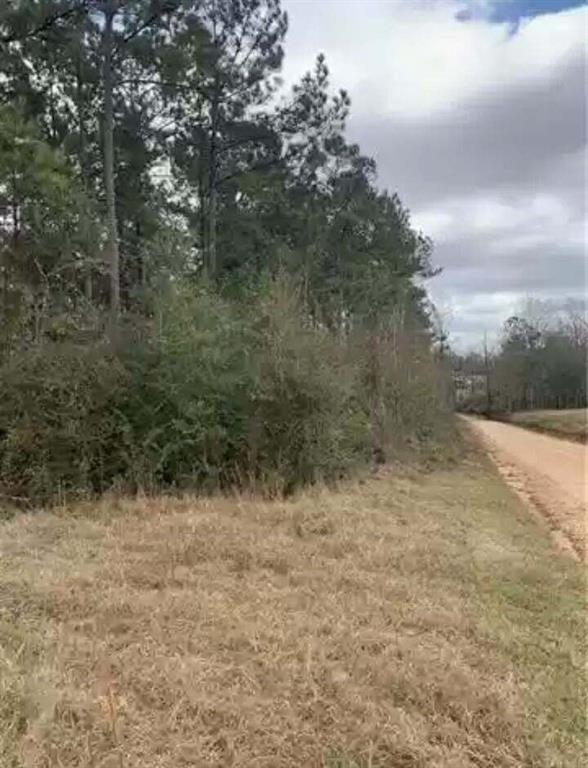 Tbd Gene Williams Road Franklinton, LA 70438 - Photo 3 of 5 Gallery Image 3