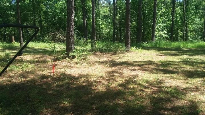 Tbd Gene Williams Road Franklinton, LA 70438 - Photo 4 of 5 Gallery Image 4