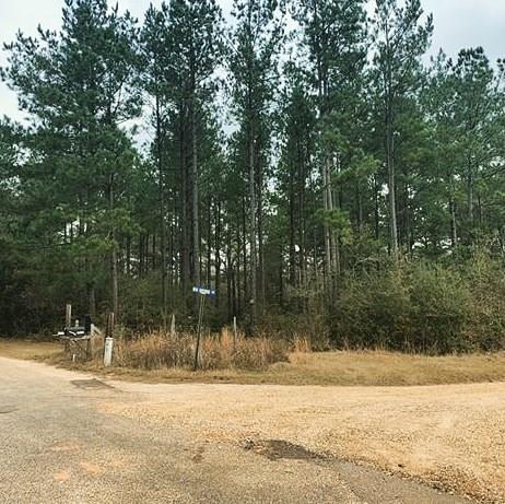 Tbd Gene Williams Road Franklinton, LA 70438 - Photo 5 of 5 Gallery Image 5