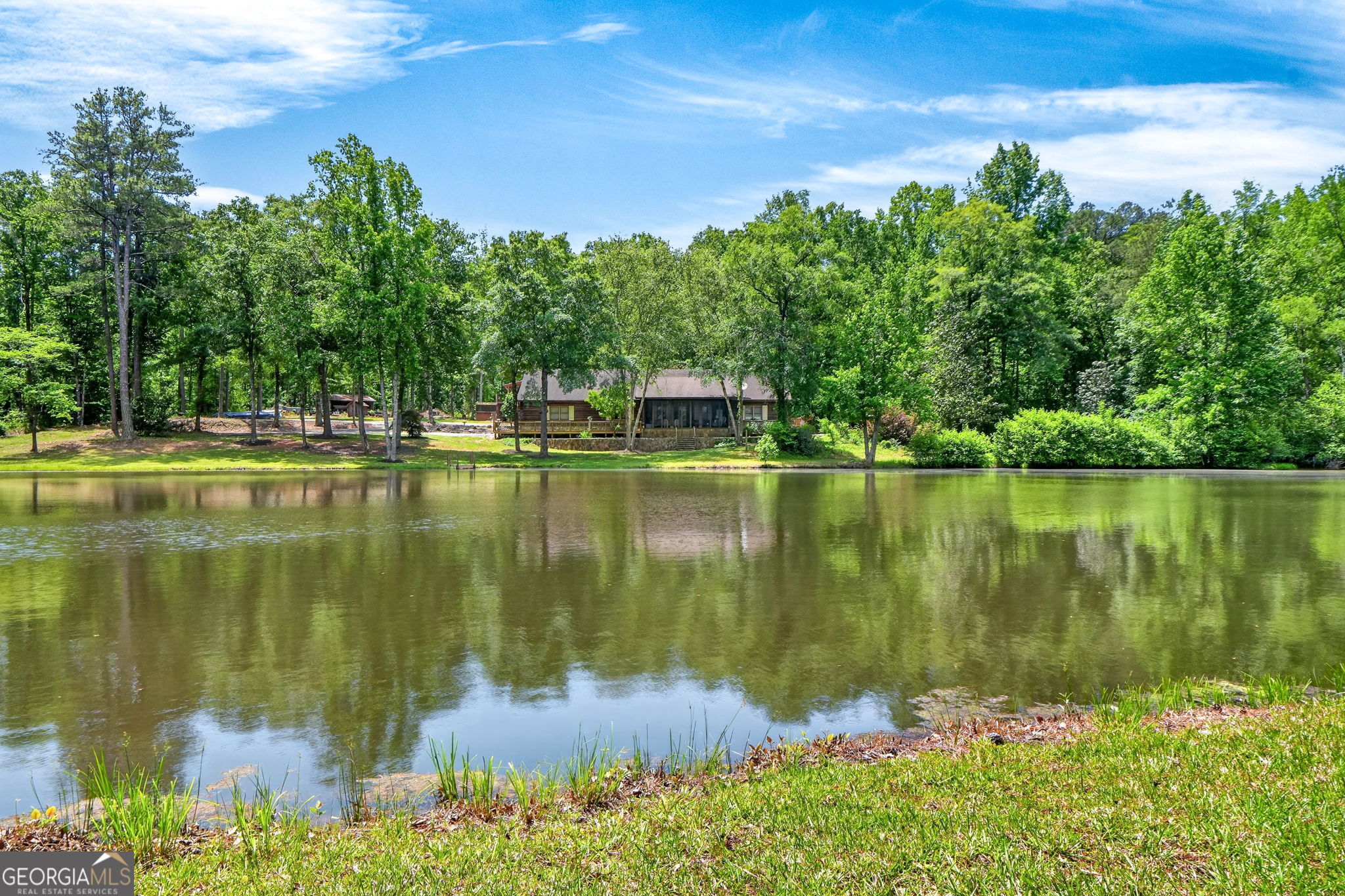 261 McIntosh Circle Jackson, GA 30233 - Photo 61 of 77 a body of water with a tree in the background