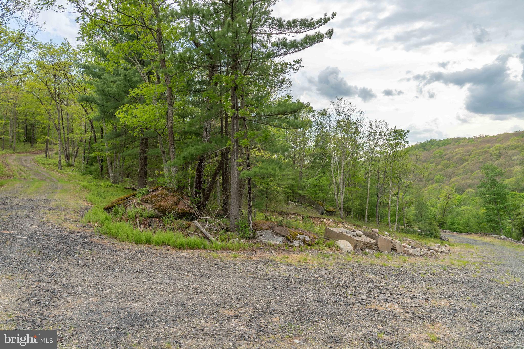 0 Cummins Hill Road Matamoras, PA 18336 - Photo 74 of 116
