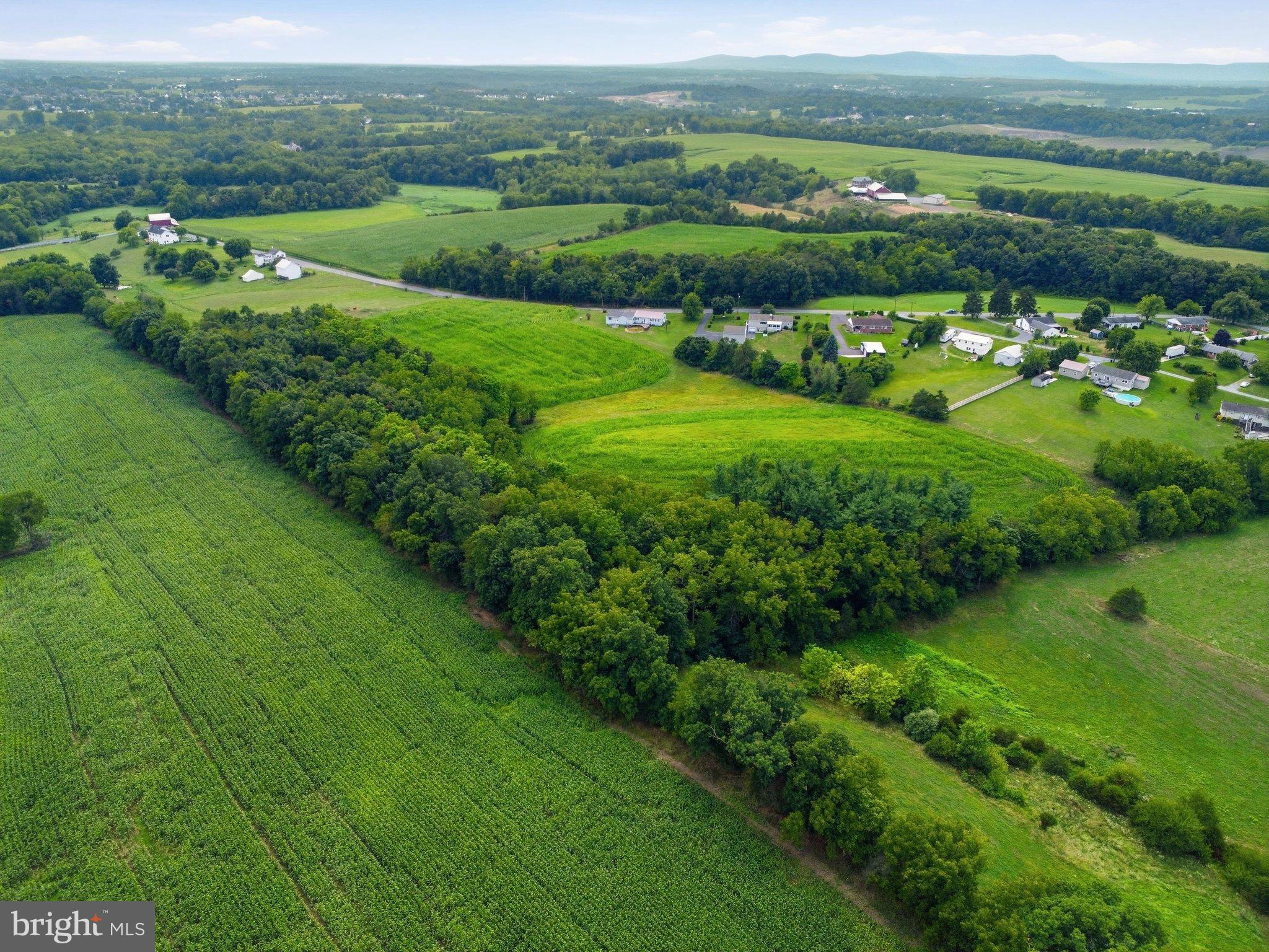 697 Shinham Road Greencastle, PA 17225 - Photo 20 of 23 Approximately 5.5 of wooded land!