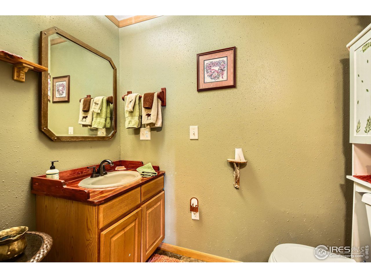 37 Rabbit Ears Court Livermore, CO 80536 - Photo 30 of 37 Gallery Image 30