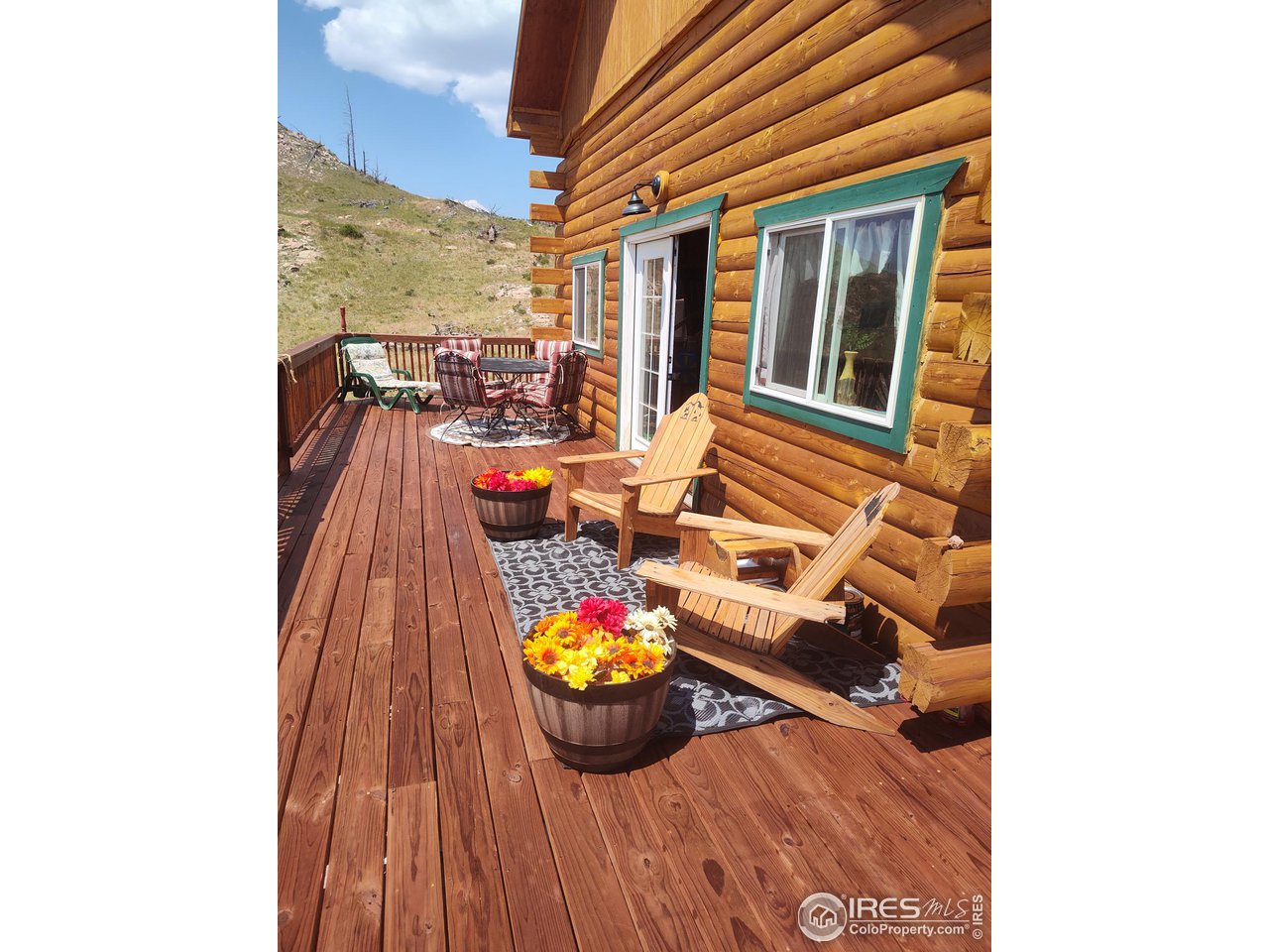 37 Rabbit Ears Court Livermore, CO 80536 - Photo 10 of 37 Gallery Image 10