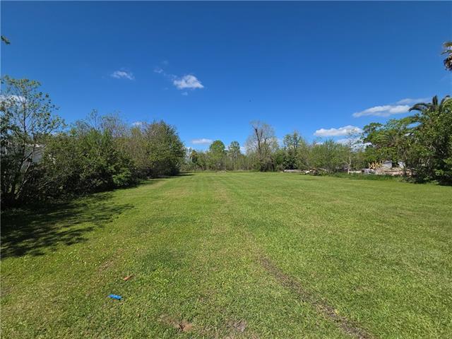 206 Danos Street Raceland, LA 70394 - Photo 5 of 18