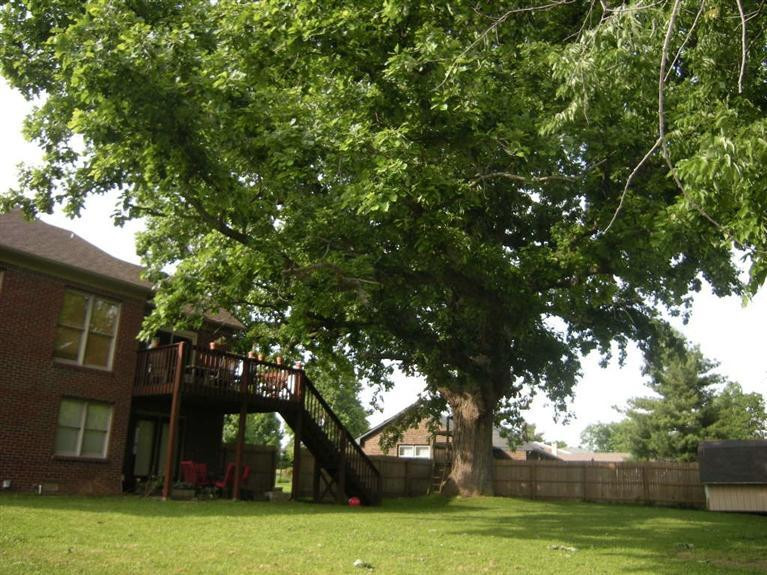 1510 Gaidry Road Lexington, KY 40505 - Photo 26 of 30 Photo 26