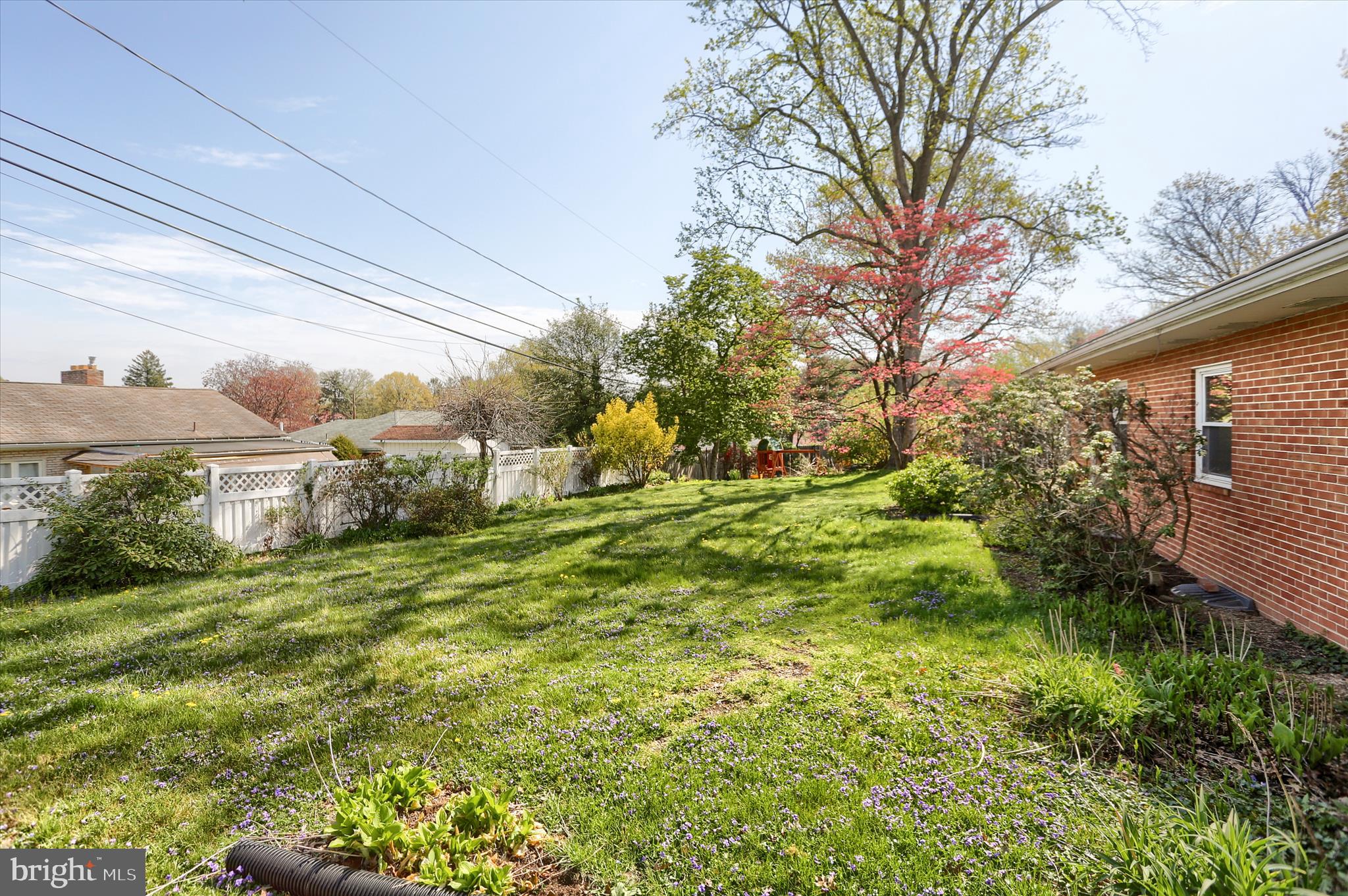 3802 Darby Road Harrisburg, PA 17109 - Photo 30 of 33 a view of a big yard with plants and large tree