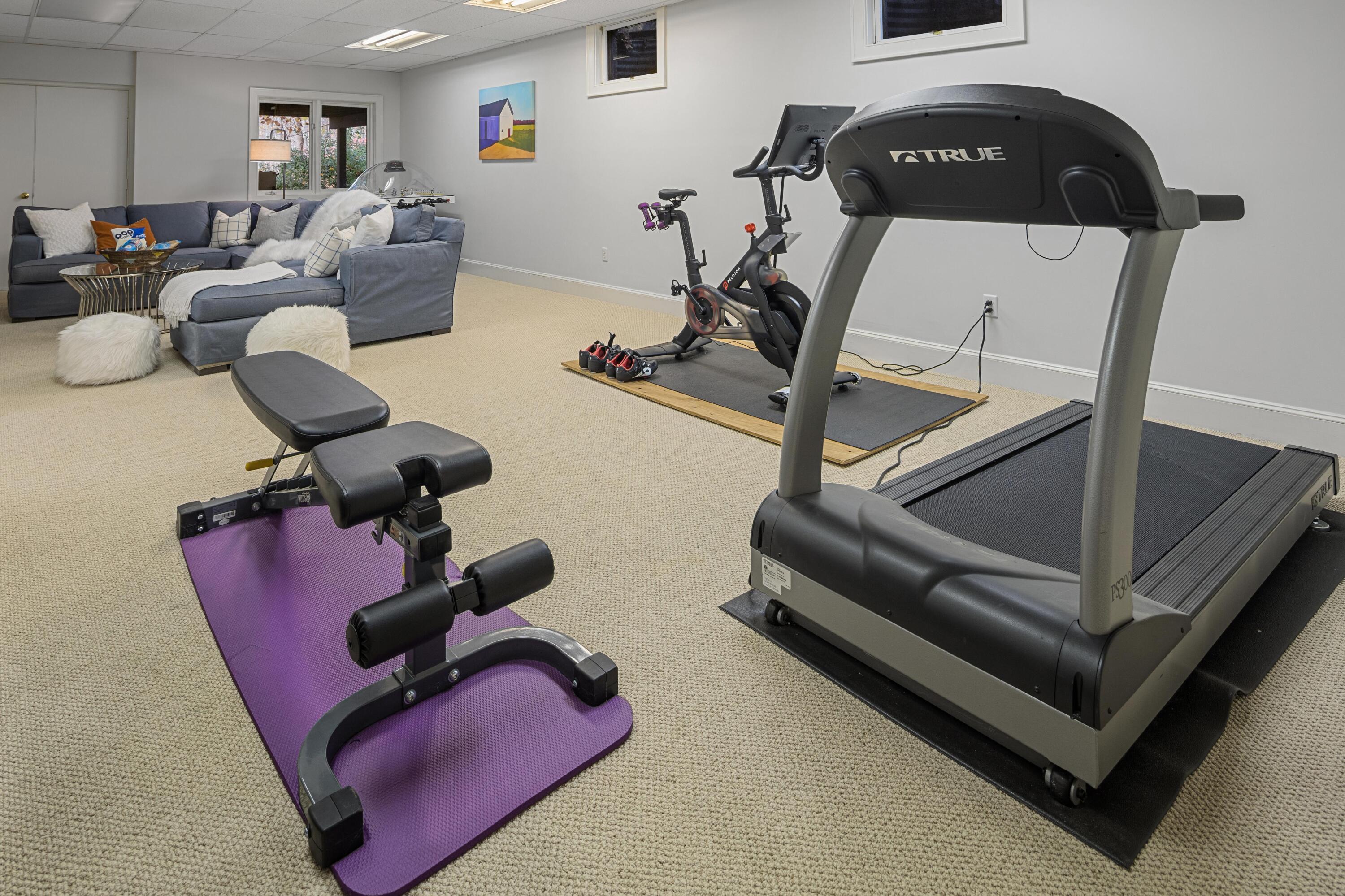 95 Ludlowe Road New Canaan, CT 06840 - Photo 31 of 37 a living room with furniture gym equipment and a view of living room