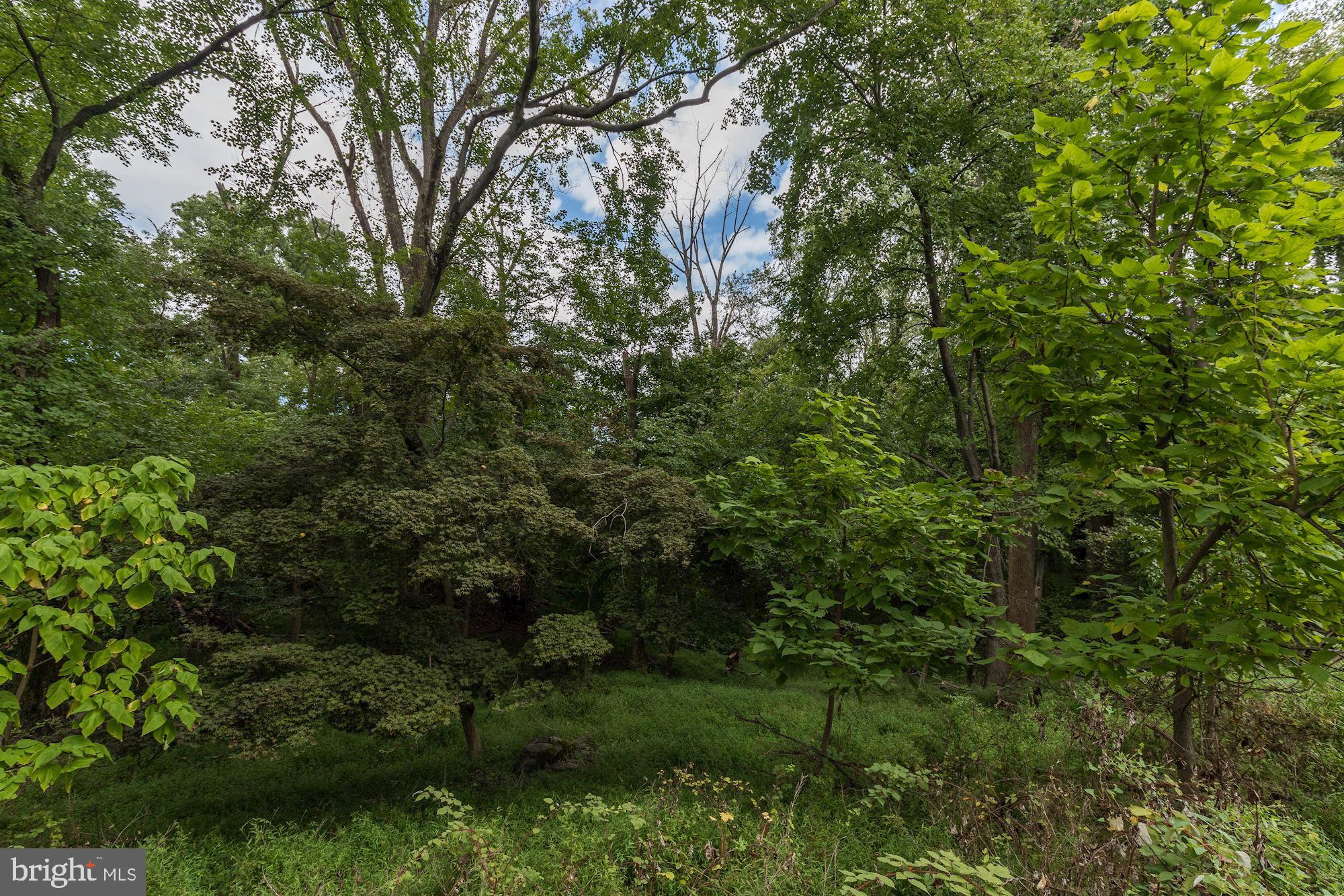 3890 View Top Road Ellicott City, MD 21042 - Photo 13 of 19