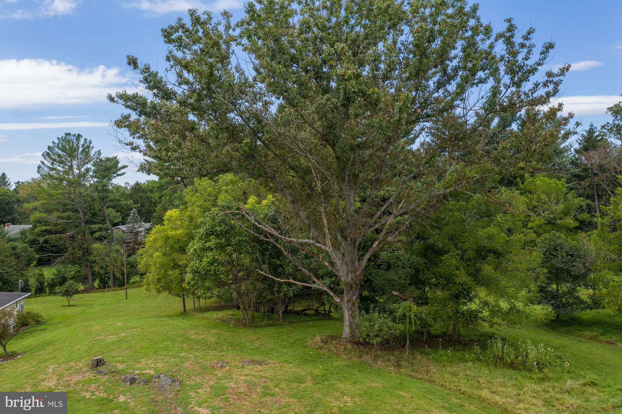 3890 View Top Road Ellicott City, MD 21042 - Photo 5 of 19