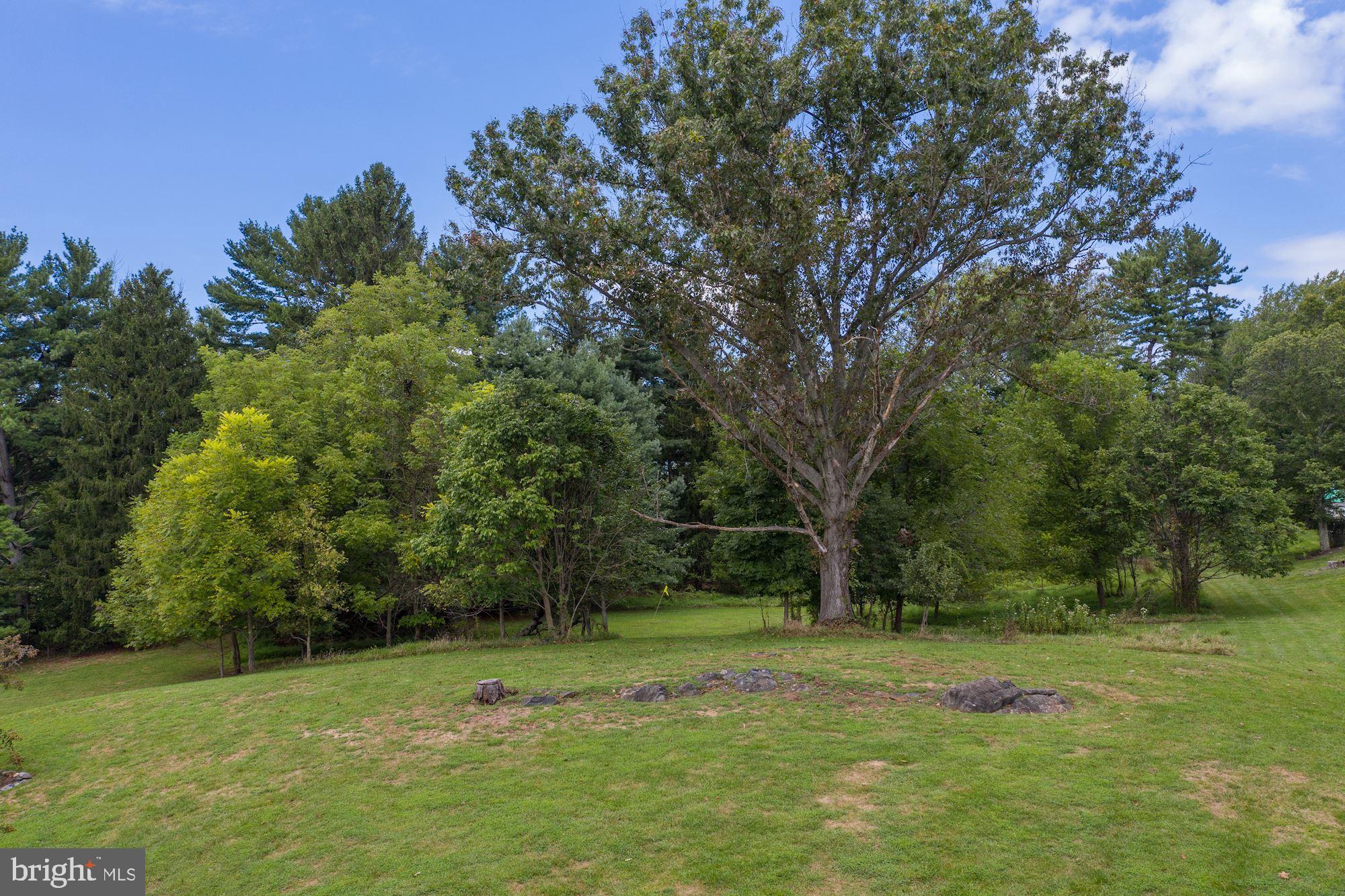 3890 View Top Road Ellicott City, MD 21042 - Photo 6 of 19