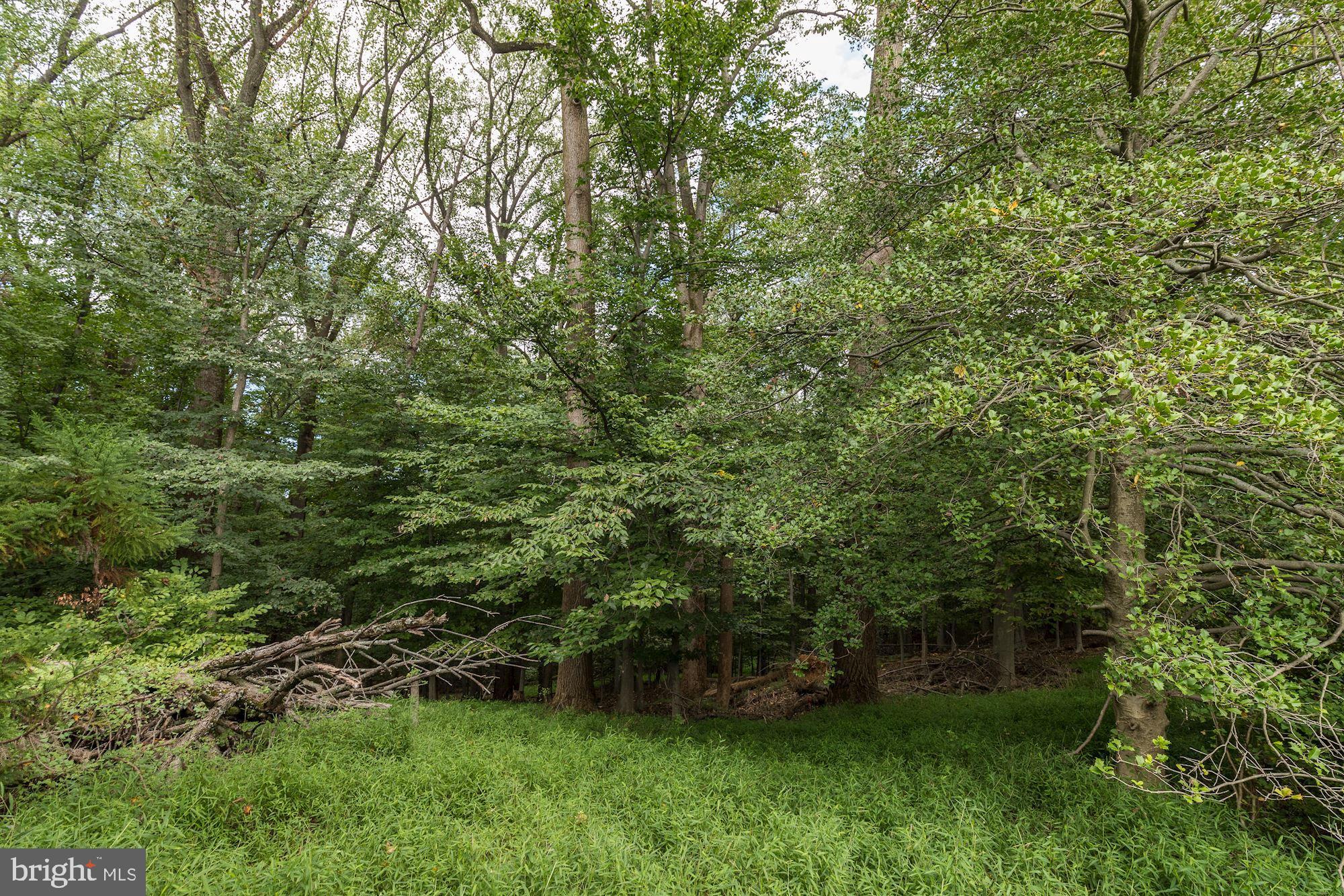 3890 View Top Road Ellicott City, MD 21042 - Photo 7 of 19