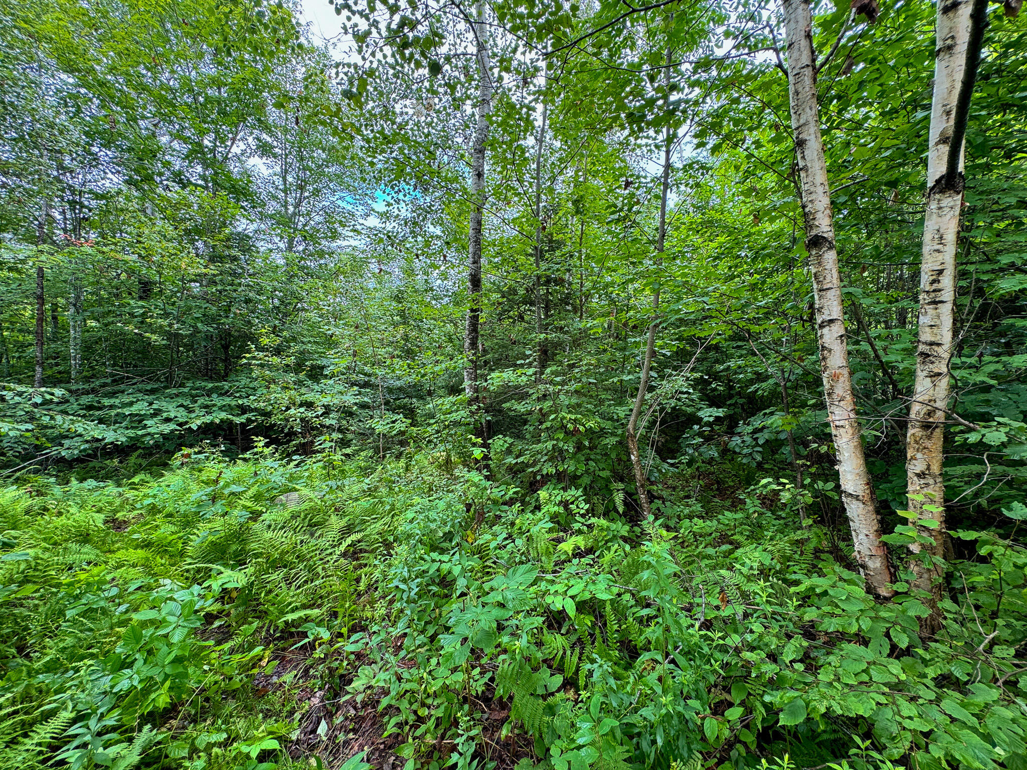 13 B Bluegrass Avenue Springfield, ME 04487 - Photo 13 of 14 10